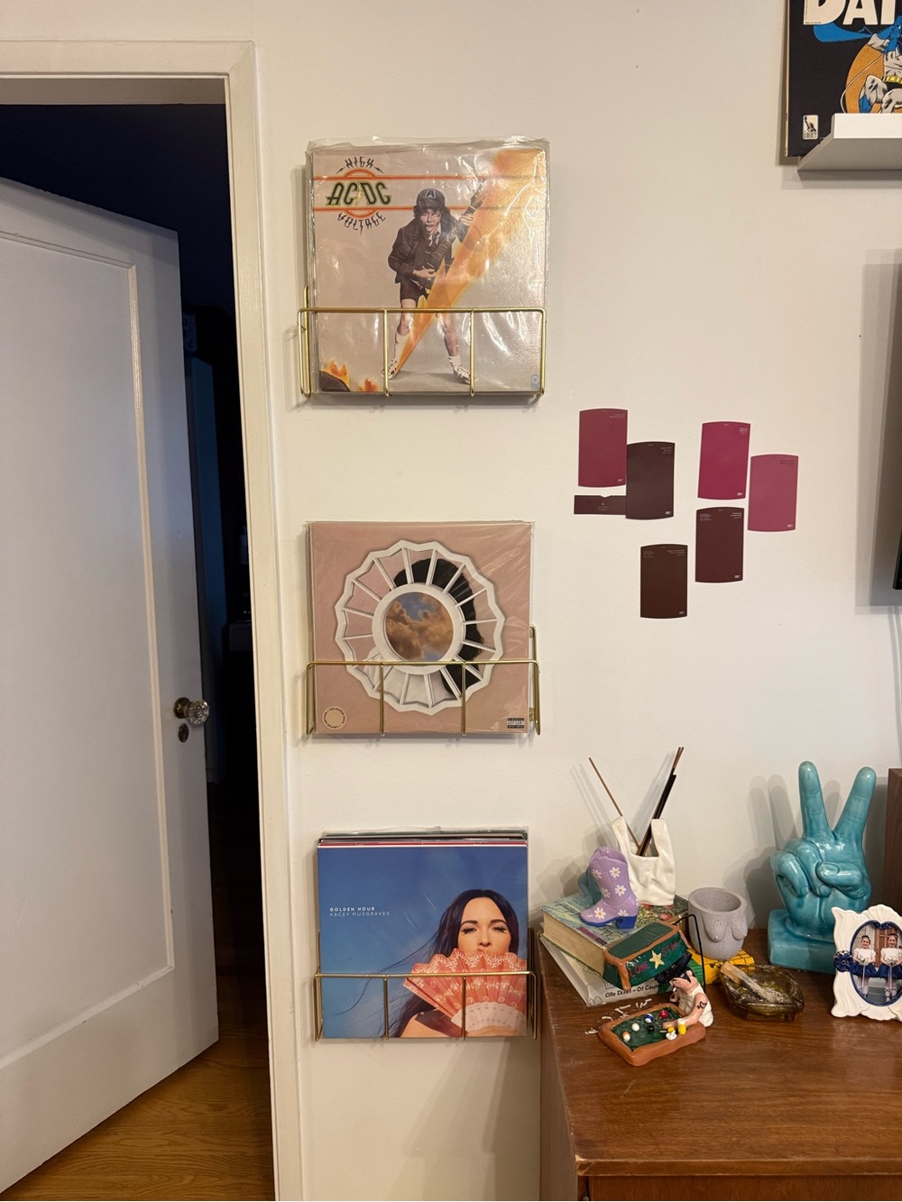 Gold Sturdy Vinyl Wall Rack